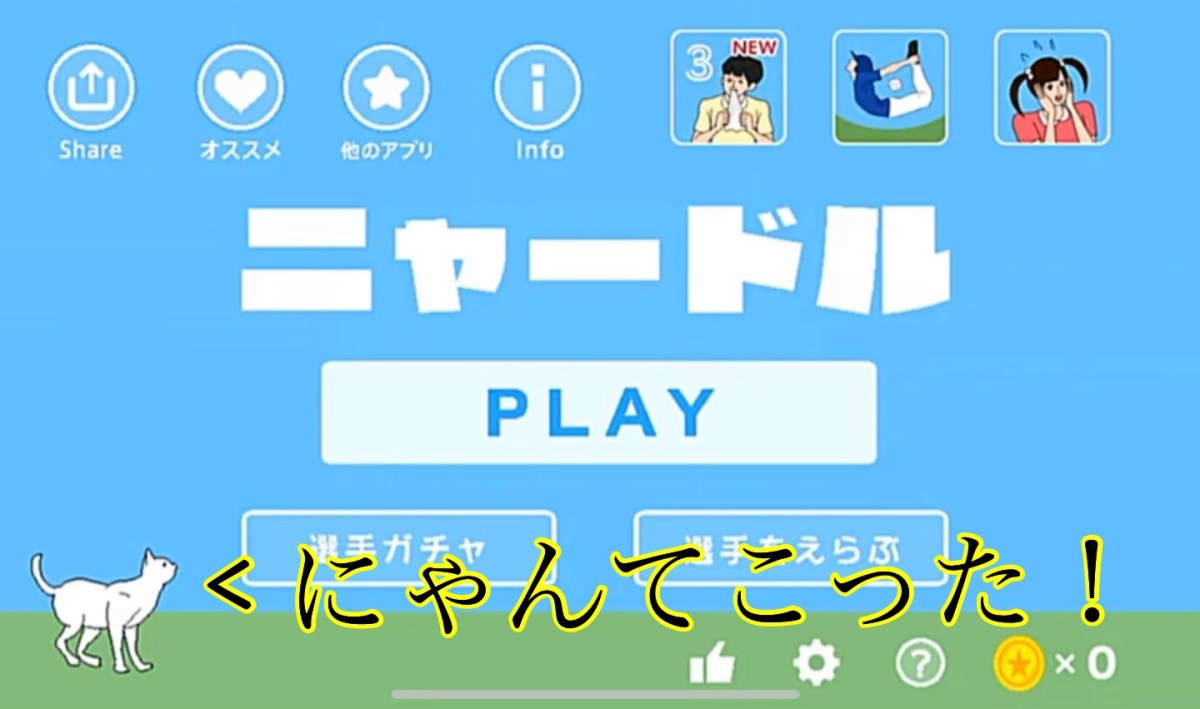 ニャードル